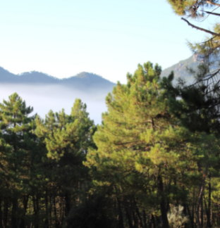 El Pilarillo vista desde el taller de la Sierra de Segura en  Jaén 